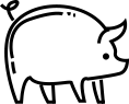 畜牧養(yǎng)殖業(yè)